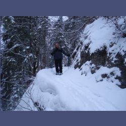 2013-02-02_Rappinschlucht_Lainlalm (106).jpg